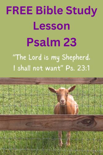Psalm 23 Bible Study Lesson for Adults: FREE Download - Anchored and ...
